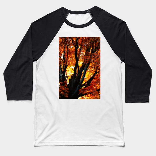 Autumn Elegy Baseball T-Shirt by photoclique